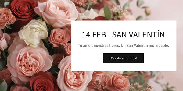 Florerias Florerias