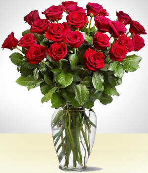 Flores a El Salvador Majestic Rojo de 24 Rosas