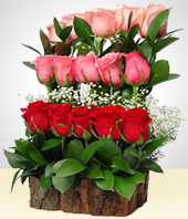 Flores :  - Cataratas de ensueño con 15 Rosas