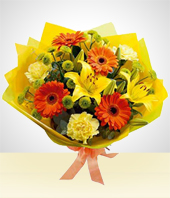 Claveles - Bouquet Primaveral: Gerberas y Claveles