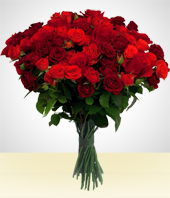 Arreglos Florales - Bouquet Eternidad de 50 Rosas