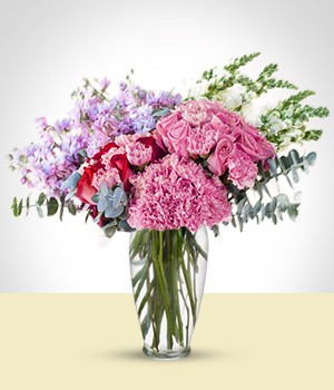 Flores a El Salvador Arreglo Elegancia en Pastel